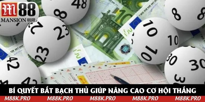 Bí quyết bắt bạch thủ giúp nâng cao cơ hội thắng